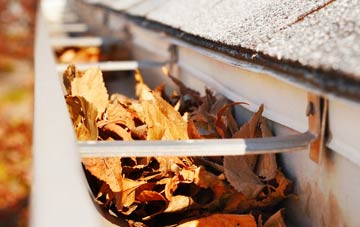 Waen Pentir gutter cleaning companies