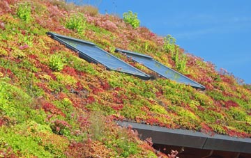 Waen Pentir living roof systems