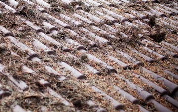 Waen Pentir roof cleaning companies